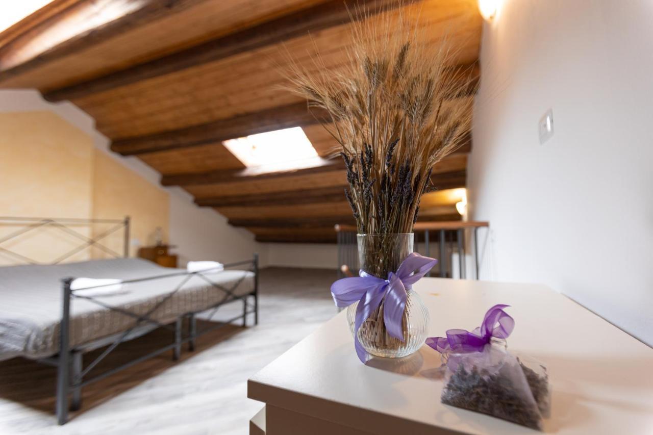 Agriturismo La Valle Della Lavanda - Podere Mezzastrada Fauglia Εξωτερικό φωτογραφία