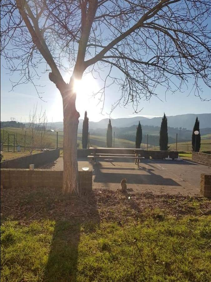 Agriturismo La Valle Della Lavanda - Podere Mezzastrada Fauglia Εξωτερικό φωτογραφία