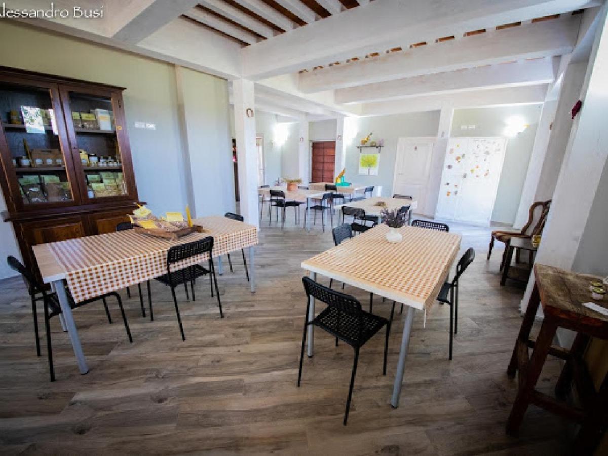 Agriturismo La Valle Della Lavanda - Podere Mezzastrada Fauglia Εξωτερικό φωτογραφία