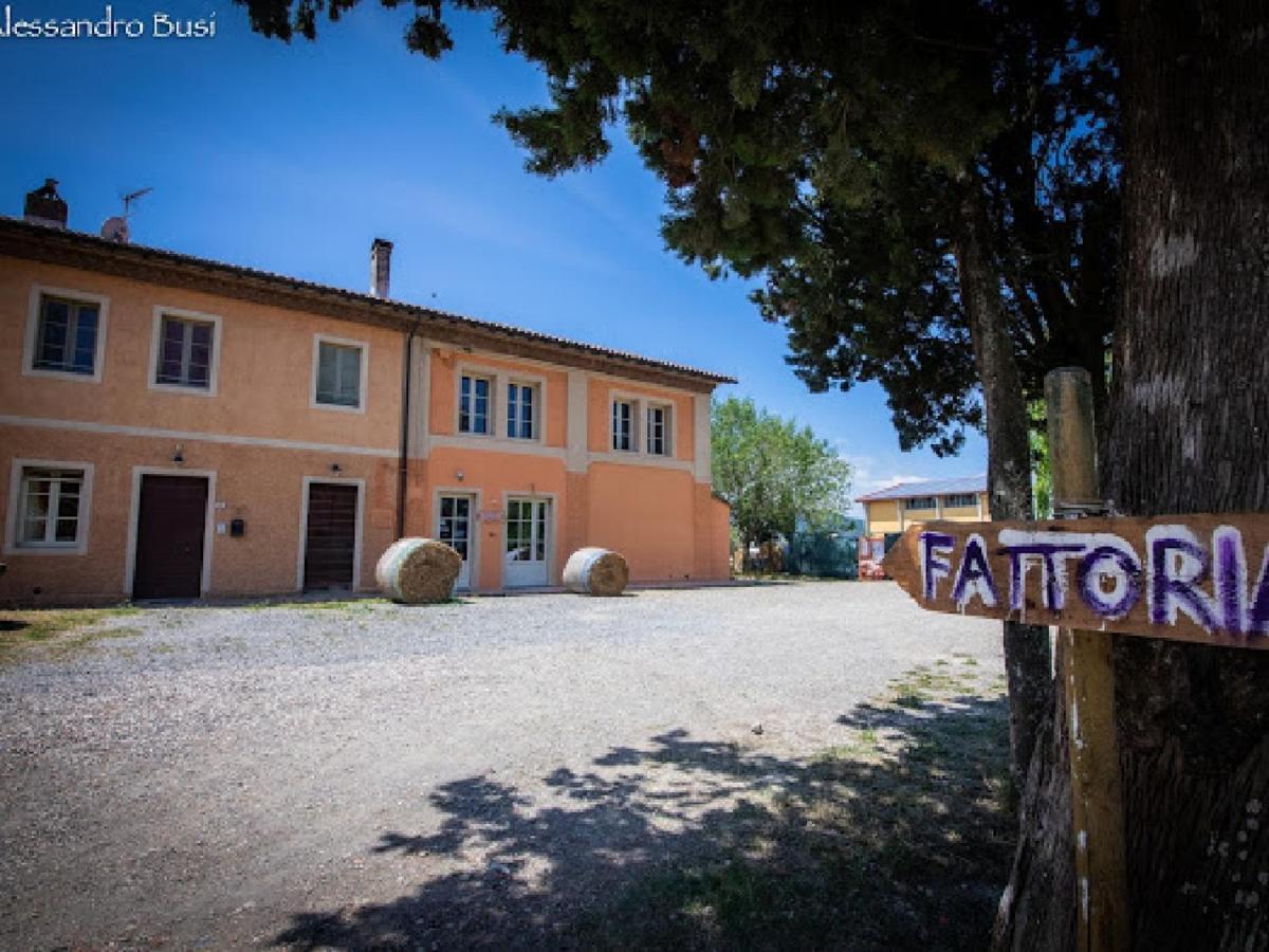 Agriturismo La Valle Della Lavanda - Podere Mezzastrada Fauglia Εξωτερικό φωτογραφία